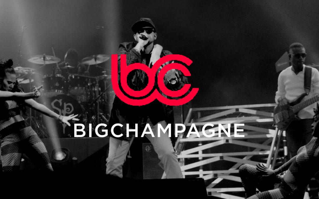 BigChampagne Dashboard